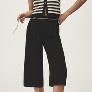 NWT!!  Anthropologie Maeve Pleated Cullotte Trousers Small